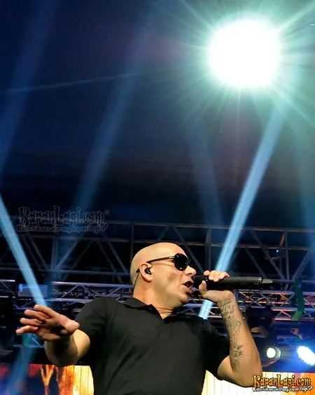 Foto Pitbull