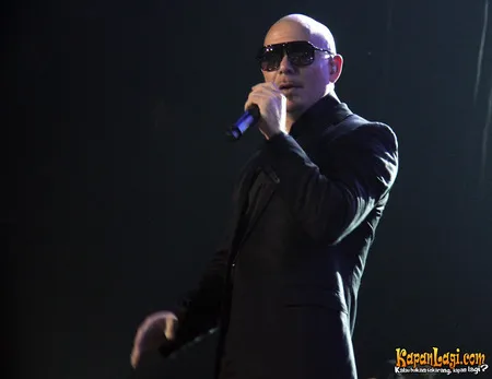 Foto Pitbull
