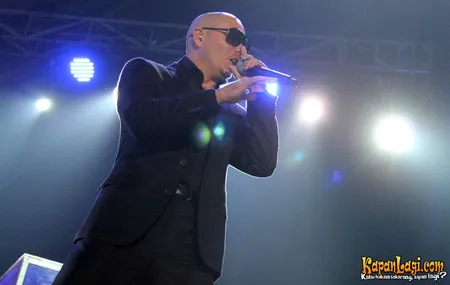 Foto Pitbull