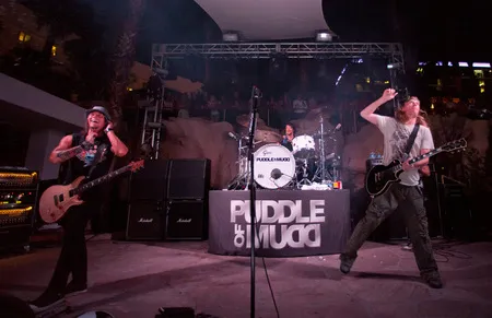 Foto Puddle Of Mudd