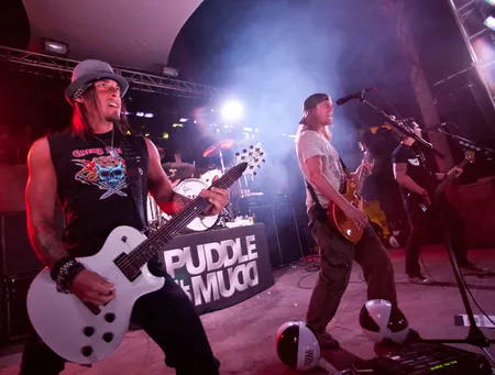 Foto Puddle Of Mudd