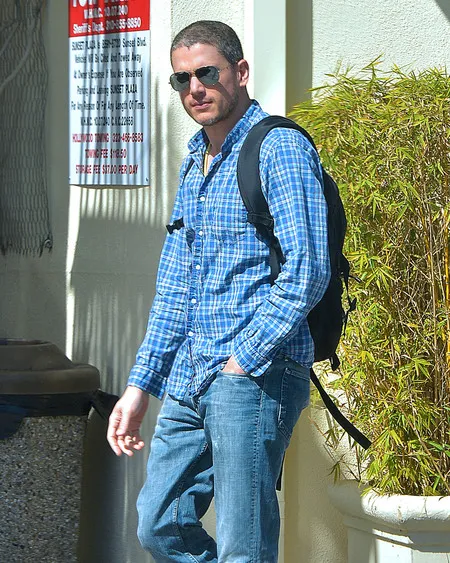 Foto Wentworth Miller