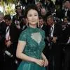Zhao Tao