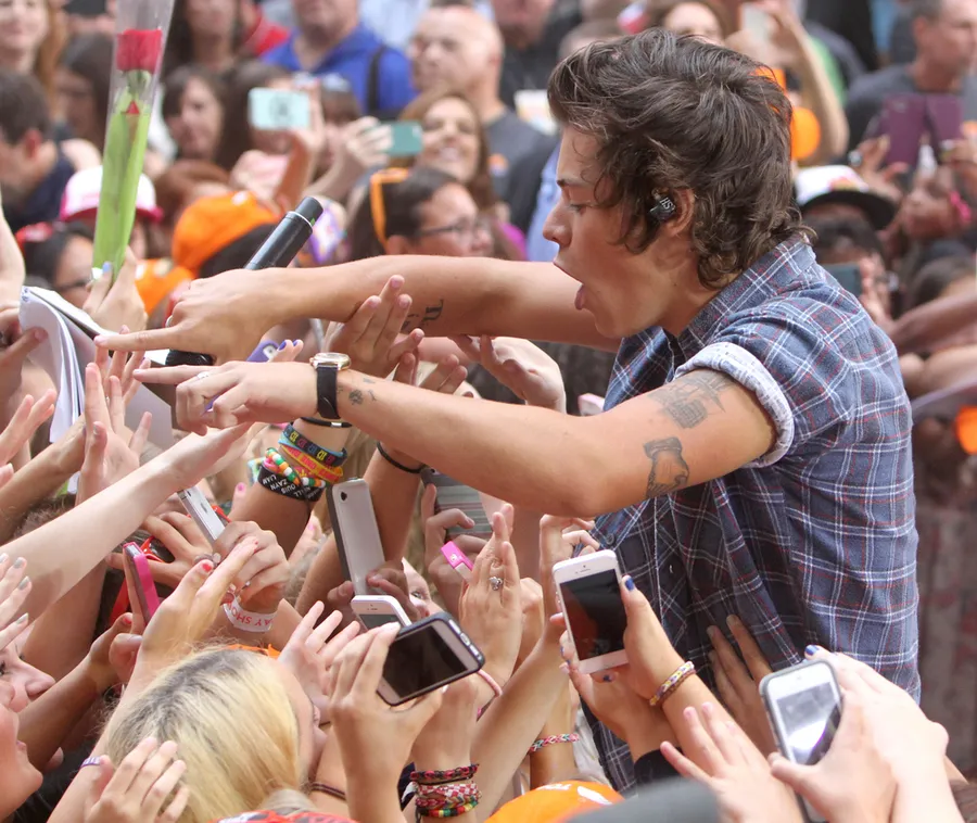 Harry Styles/Shutterstock©