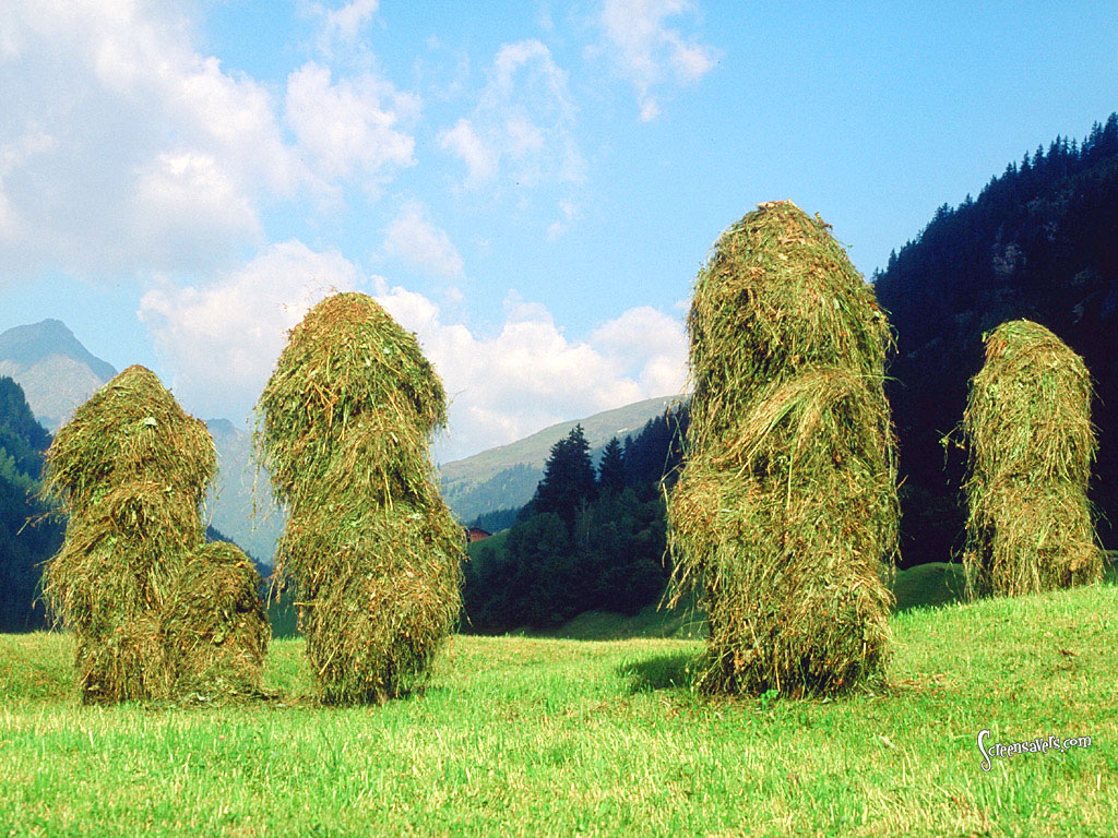 Alpine Haystacks