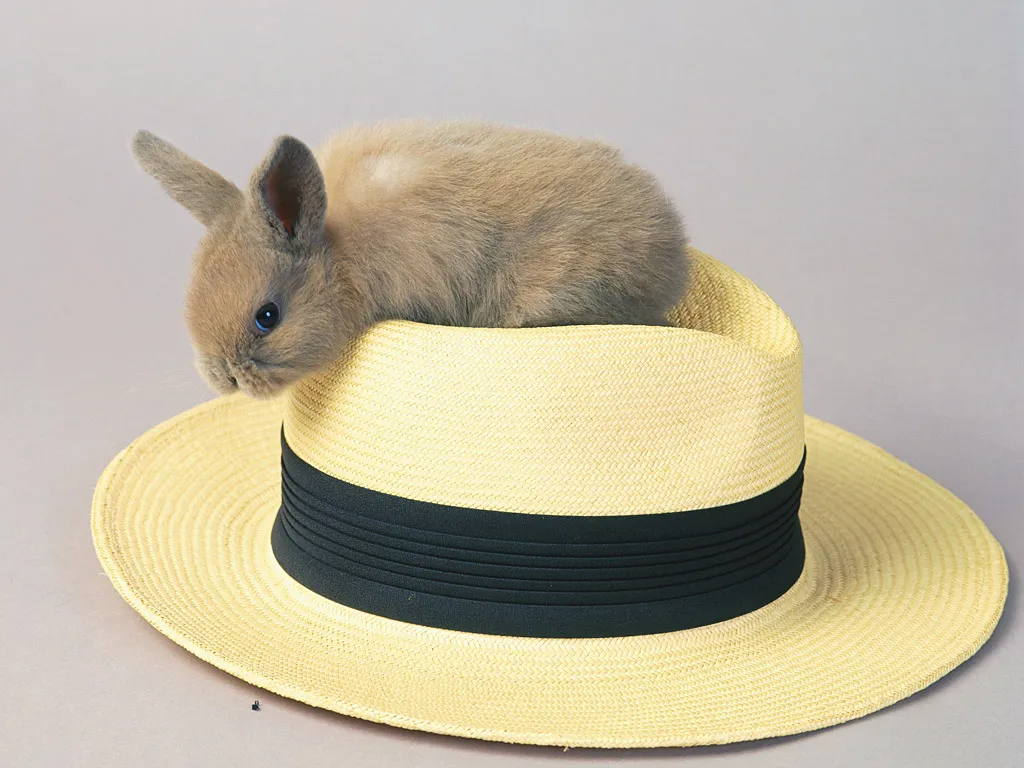 Hat Topper