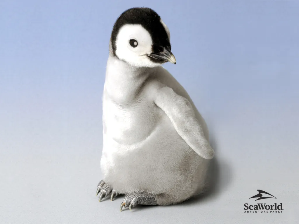 Tiny Penguin