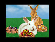 Easter Bunnies