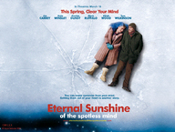 Eternal Sunshine of the Spotless