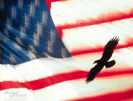 Flag and Eagle