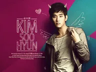 Kim Soo Hyun