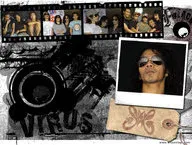 Slank