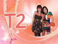 T2