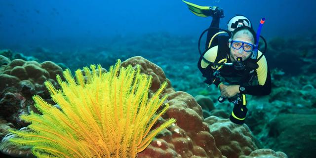 Gear Profesional Ini Bikin Eksplorasi Lautmu Makin Seru dan Maksimal 5