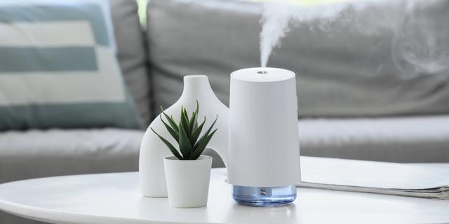 Bikin Mood Positif Sepanjang Hari, Ini 3 Rekomendasi Pengharum Ruangan untuk Relaksasi di Rumah 1