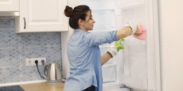 Produk Pembersih Kulkas Ampuh 2024 - Jaga Makanan Tetap Sehat 1