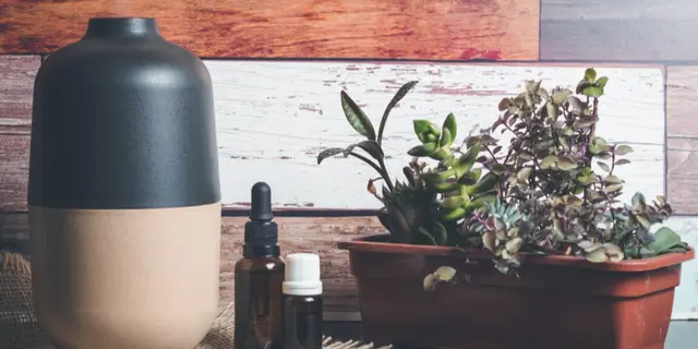 Upgrade Suasana Rumah dengan Diffuser Oil Terbaik yang Wanginya Bikin Betah 5
