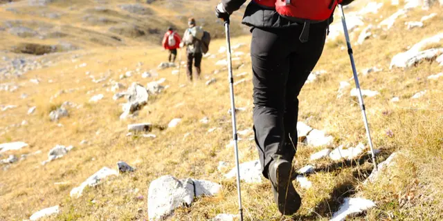 Pilihan Tongkat Hiking Terbaik agar Pendakian Lebih Nyaman dan Minim Kelelahan 7