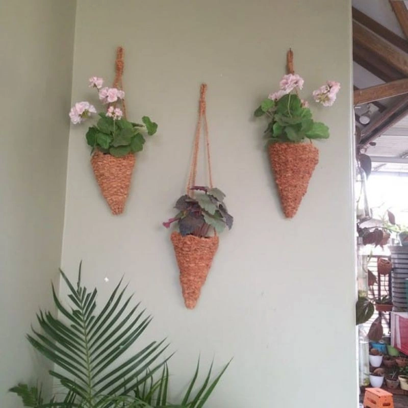Cone gantung sabut kelapa pot tanaman cantik dan ramah lingkungan