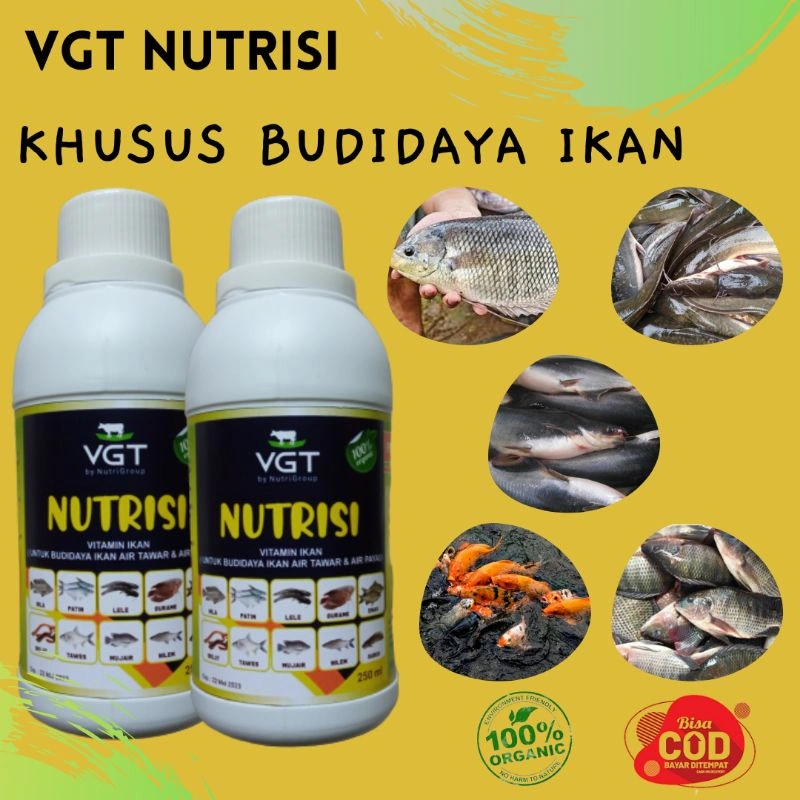 VGT NUTRISI BAKTERI STARTER BUDIDAYA IKAN DENGAN PROBIOTIK ALAMI