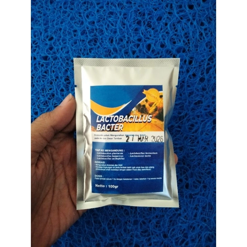 Lactobacillus Probiotik Koi Bioflok Nila Lele Bawal