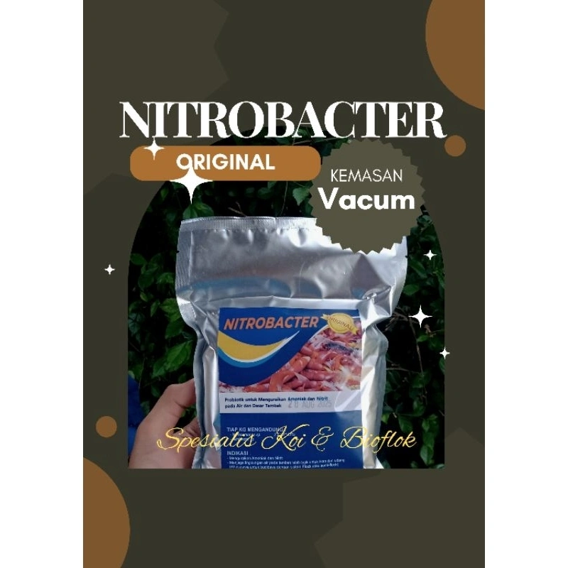 Nitrobac Nitrobacter bakteri starter Probiotik Kolam KOI