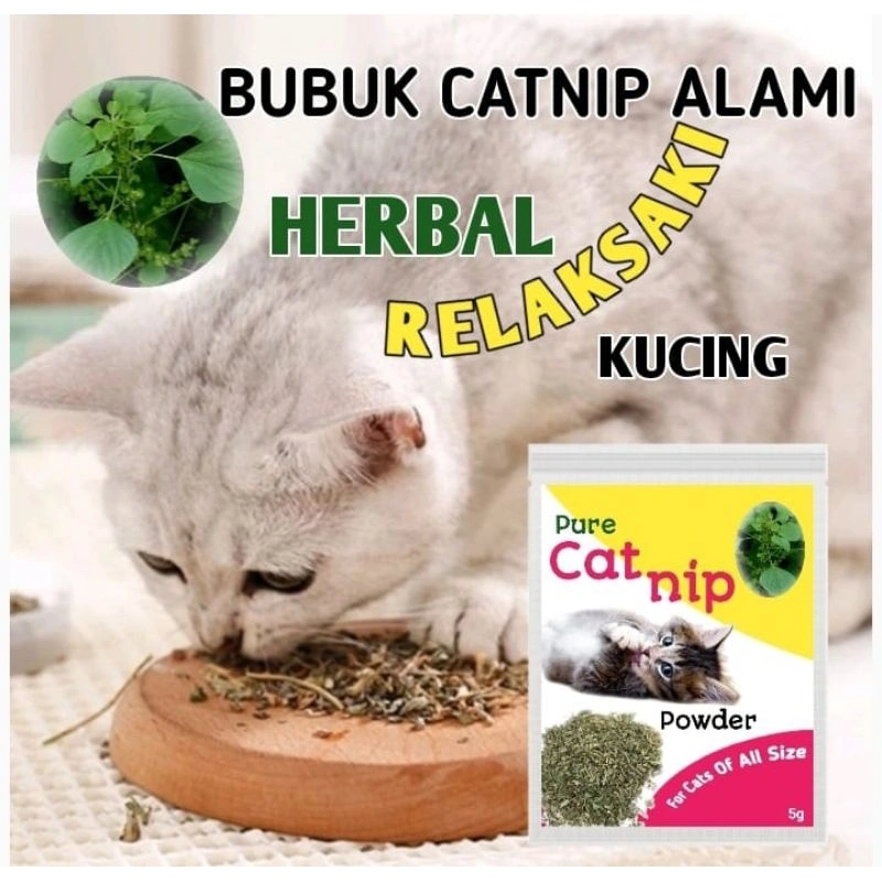 CATNIP CATMINT CAT MINT PURE CATMIN POWDER BIKIN FLY KUCING RELAKSASI