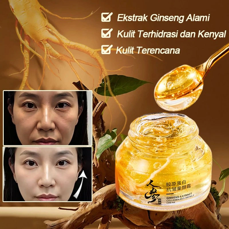 Krim Ginseng Kolagen Cream Anti Aging Anti Kerut Penuaan Penghilang Garis Halus Dan Keriput 50g