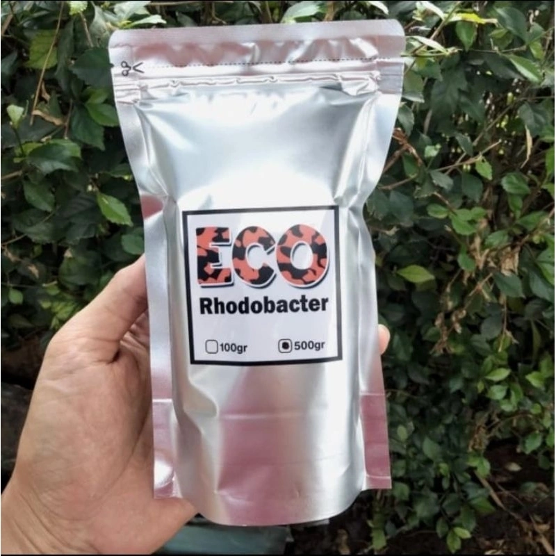 Rhodobacter Bakteri OXYGENIC Probiotik Kolam Ikan