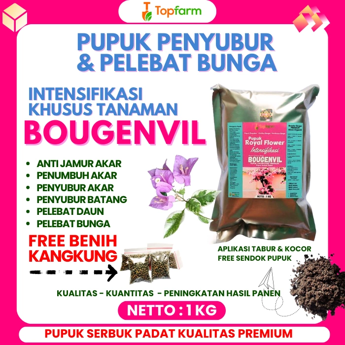 Pupuk Penyubur Bunga Bugenvil / Pupuk Bunga Bugenvil / Pupuk Bunga Kertas Biar Lebat / Pupuk Bunga Kertas / Pupuk Penyubur Bunga Kertas / Pupuk Pelebat Bunga Kertas / Pupuk Untuk Bunga Kertas