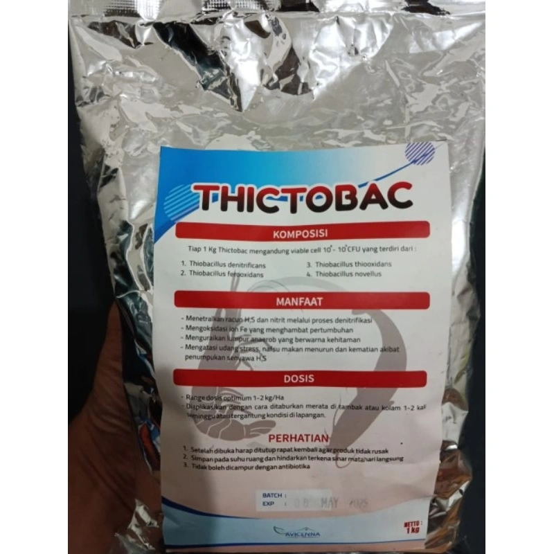 Probiotik Thiobacillus bacter Pengurai Amoniak dan Lumpur