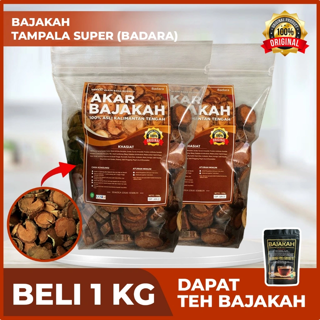 1Kg Akar Bajakah Tampala SUPER (BADARA) Kalimantan Siap Seduh Obat Jantung & Stroke (100% ORIGINAL)