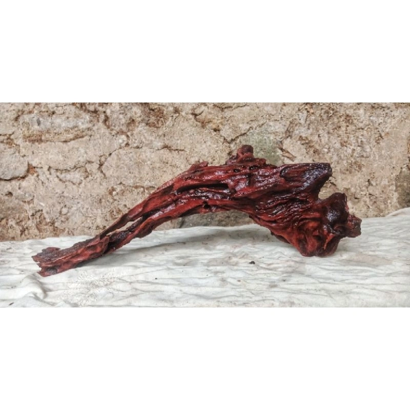 kayu ReNtek Size,mini Sedang. sudah Tenggelam