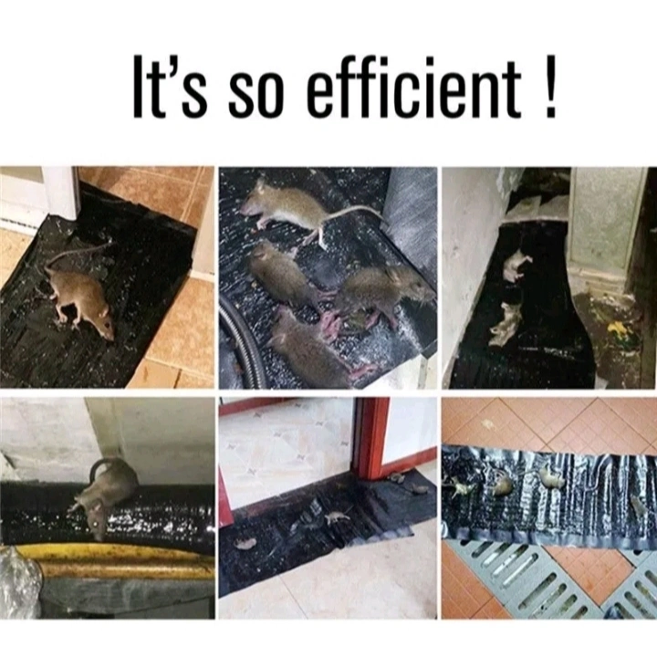 LEM PERANGKAP TIKUS KARPET MAGIC KARPET SUPER BESAR