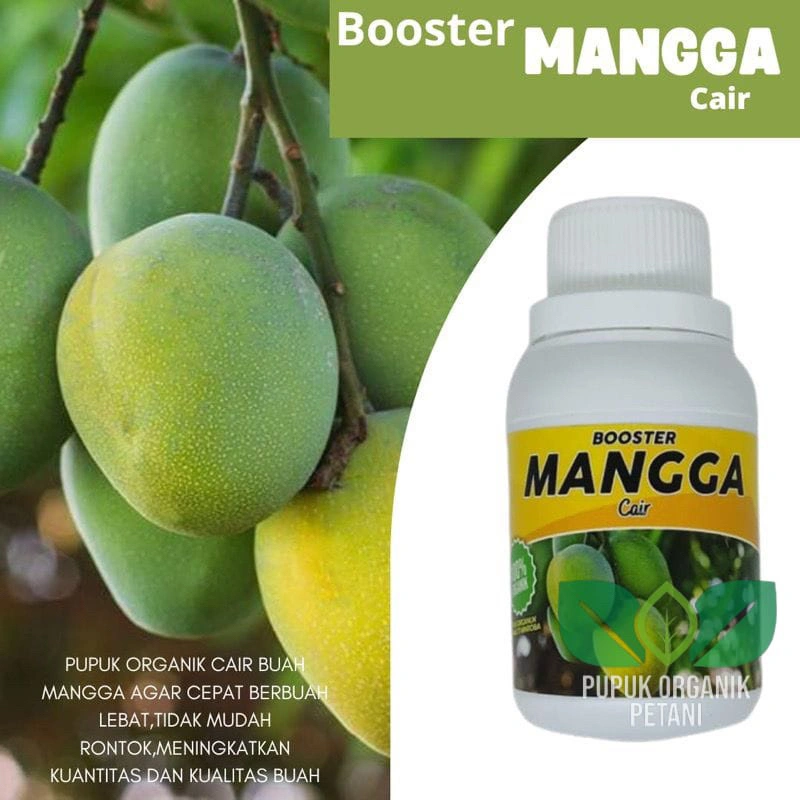 Pupuk Organik Cair Mangga Asli Agar Cepat Berbuah Besar Lebat Booster Pemacu Bunga dan Buah Pupuk Cair Penyubur Tanaman Mangga Pemanis Buah Anti Rontok Aman Untuk Bibit Tanaman