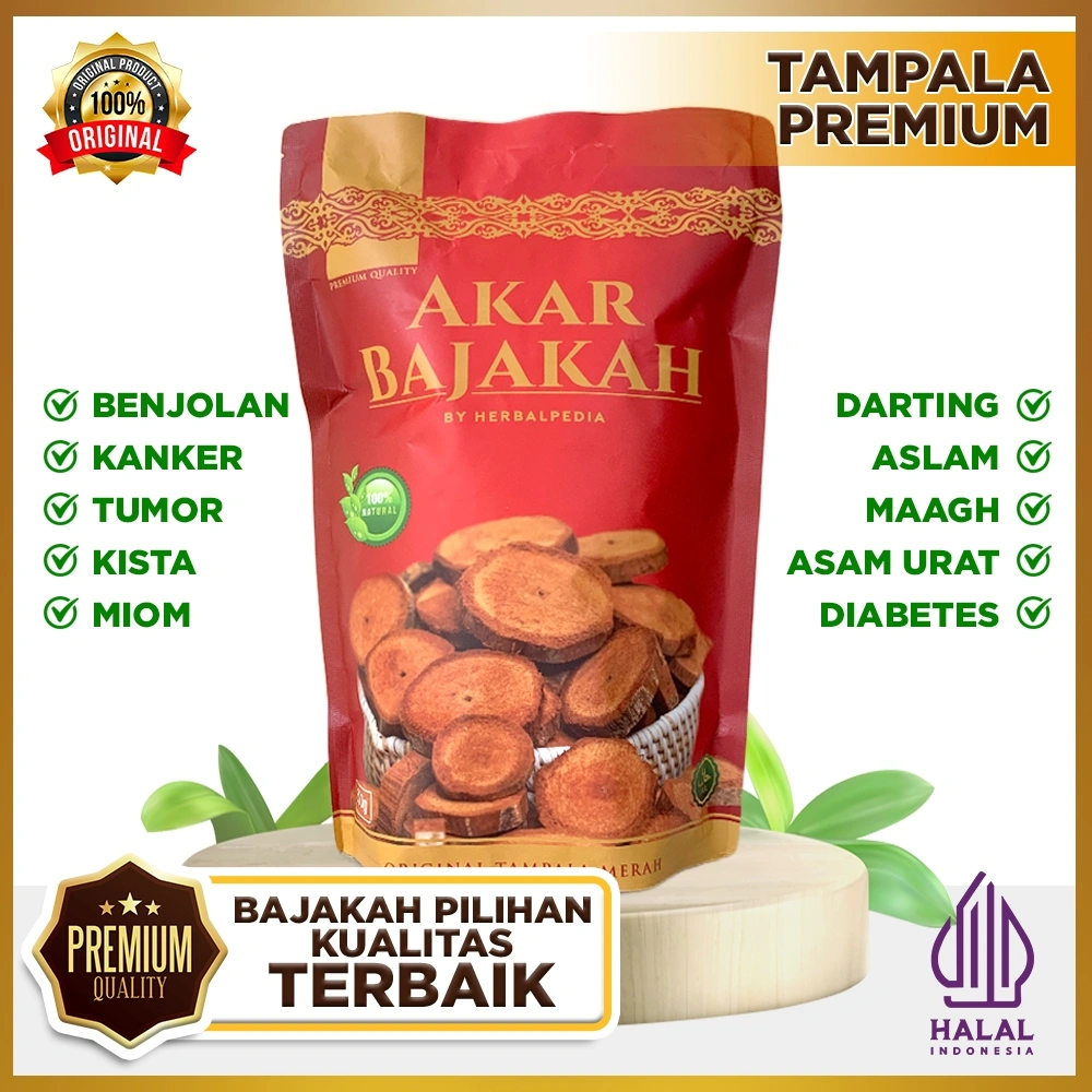 [PREMIUM ] AKAR KAYU BAJAKAH TAMPALA MERAH ASLI ORIGINAL KALIMANTAN TENGAH