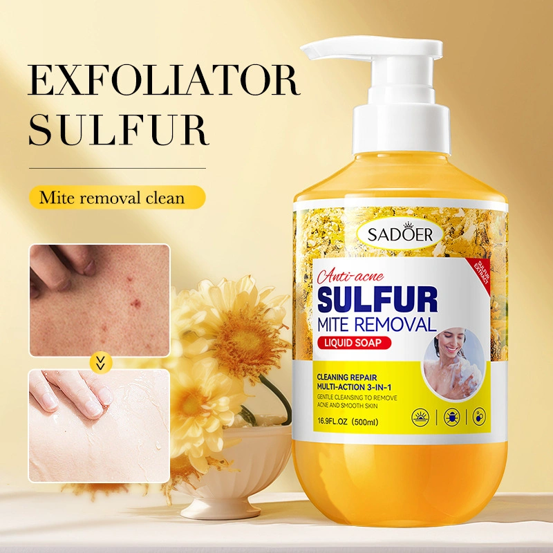 Eczema Body Wash Aloe Vera 500ML Sabun Gatal Kulit Ampuh  Sabun Jerawat Punggung Sabun Mandi Cair