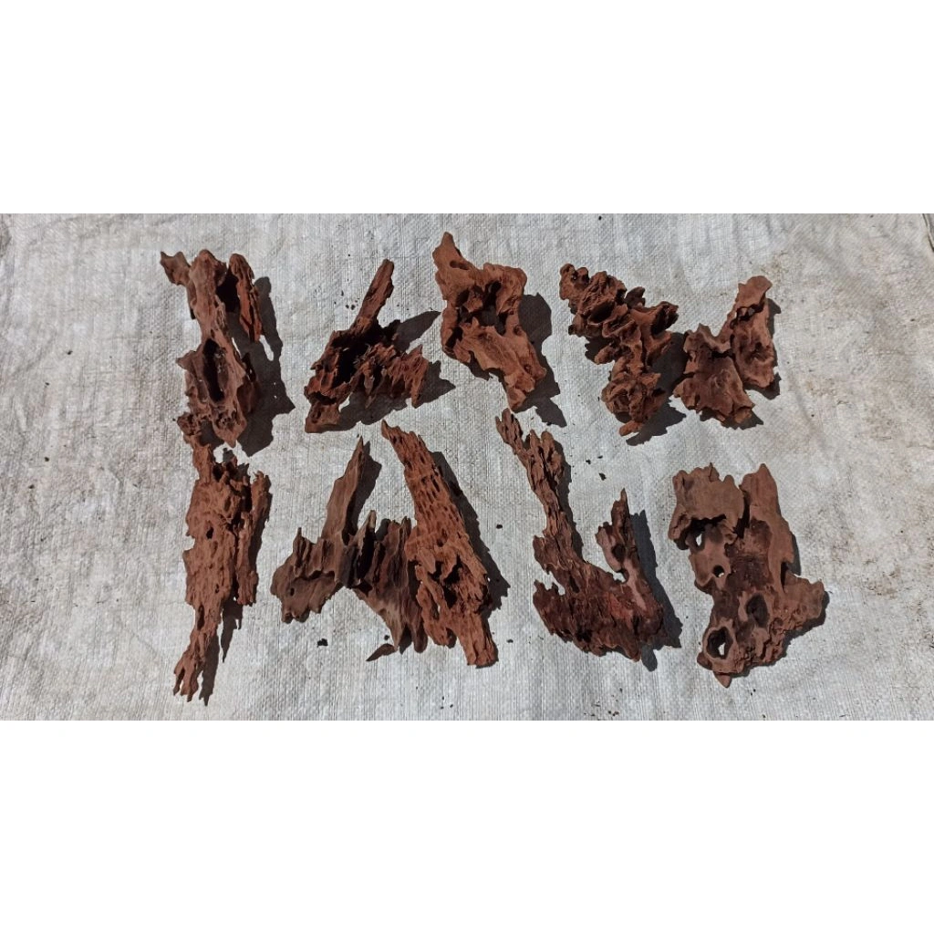 Kayu rentek aquascape mini Motip bagus pilihan 10 pics