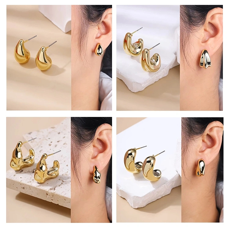 Anting -anting aksesoris wanita/anting -anting mode