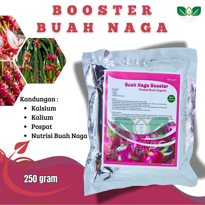 Pupuk pelebat buah naga serta penyubur tanaman buah naga,booster buah naga 100% organik