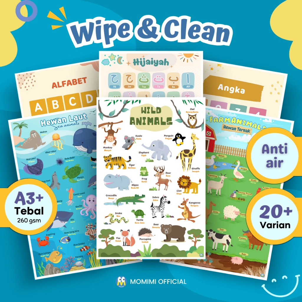 [WIPE AND CLEAN] Poster Edukasi Anak Double Laminasi Glossy Anti Air untuk Belajar Balita, Paud, TK