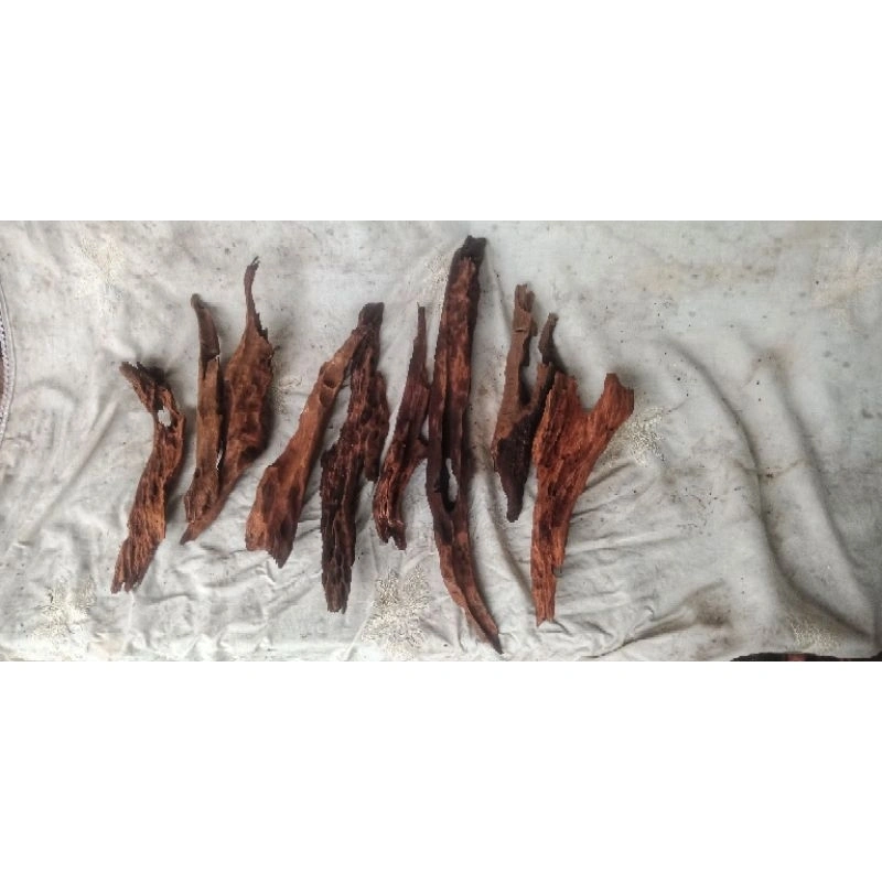 Kayu Rentek mini Meruncing 1 kg