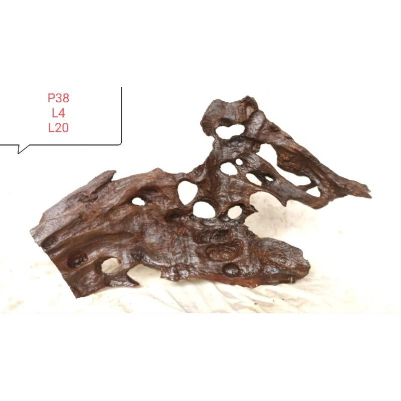 Rentek kayu posil untuk dekorasi Aquascape dll