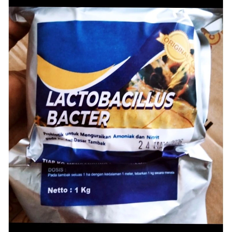 Lactobacillus 1 kg Probiotik Ikan dan Udang