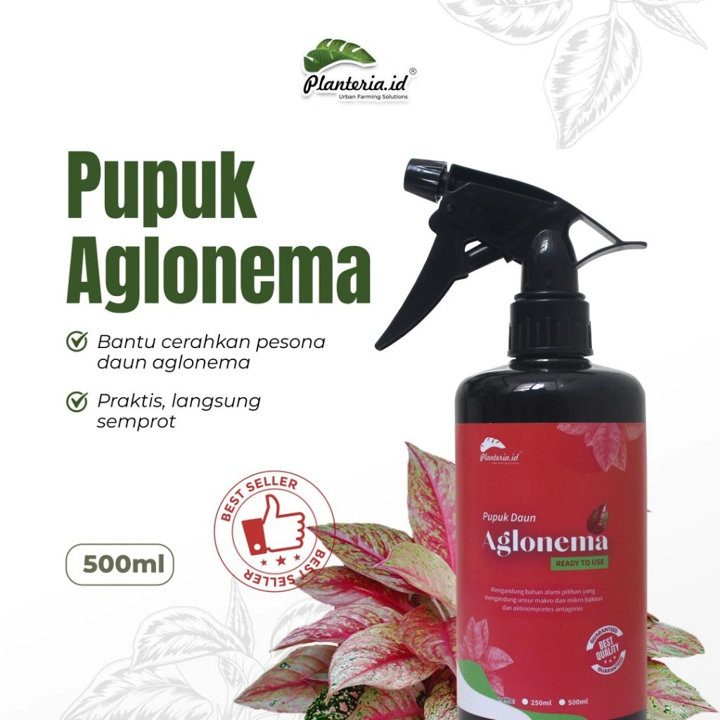 pupuk daun Aglonema Ramah lingkungan dan dilengkapi nutrisi penunjang untuk pertumnuhan yang optimal