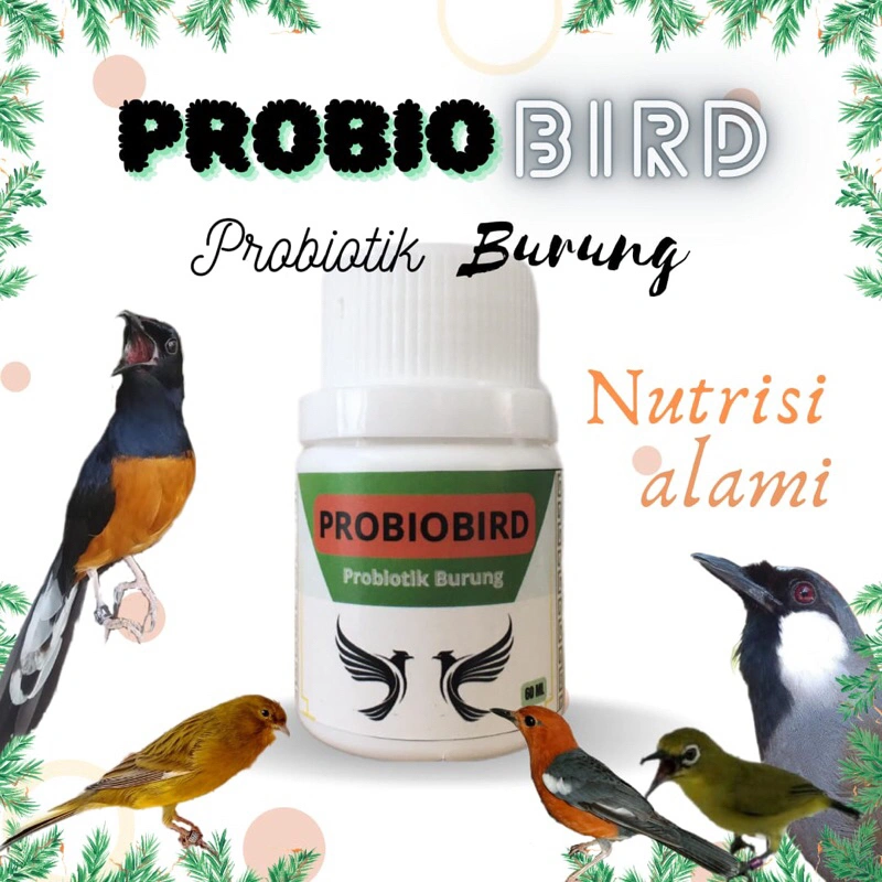 Vitamin Burung PROBIOBIRD Probiotik Burung Suplemen Burung Nutrisi Burung Antivirus