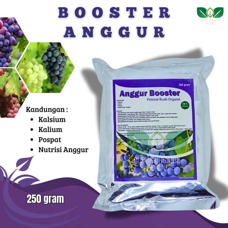 Pupuk Organik Booster Pelebat Buah Anggur dan Pupuk Penyubur Anggur Agar Cepat Berbuah Lebat