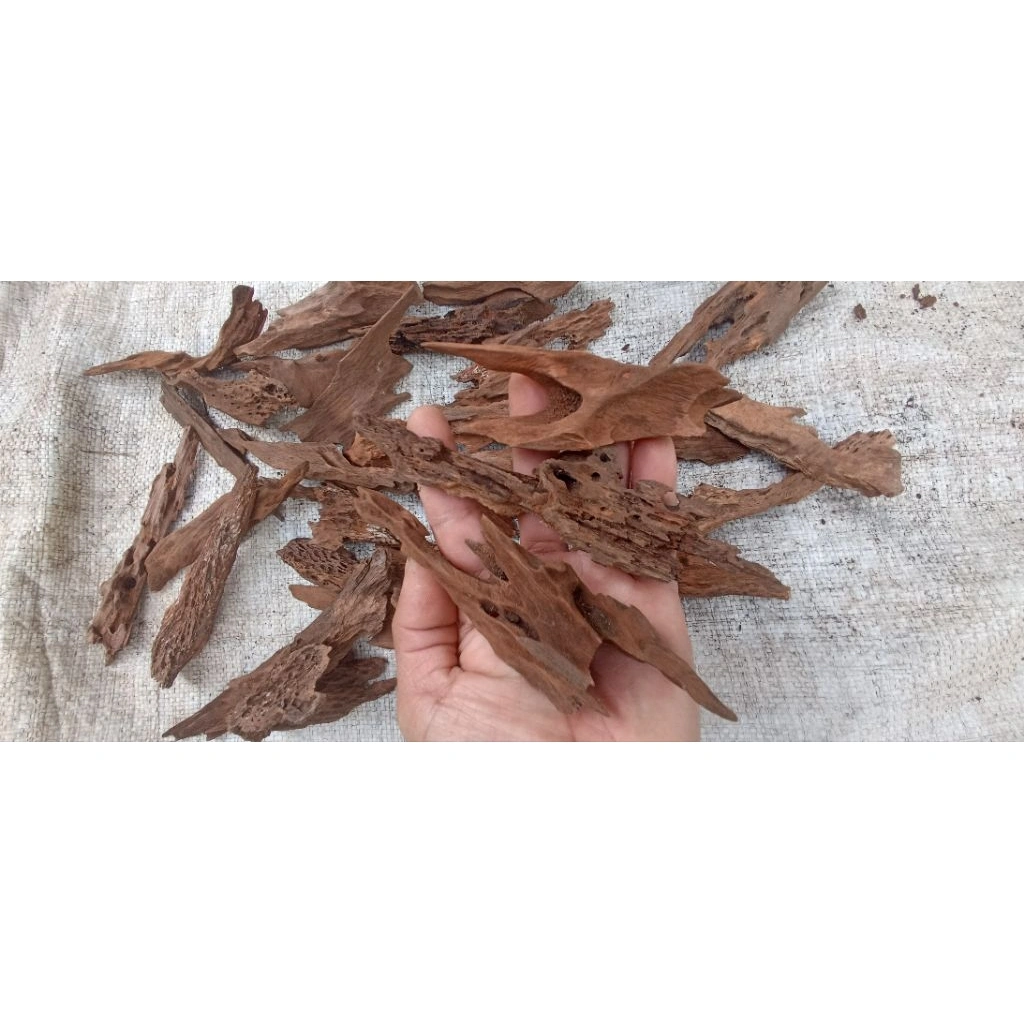 Rentek mini kecil meruncing 1 kilo isi banyak