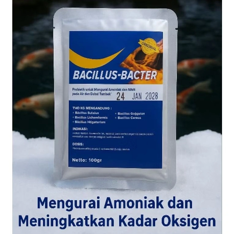 Bacillus Bacter Probiotik Pengurai Amoniak dan kotoran ikan