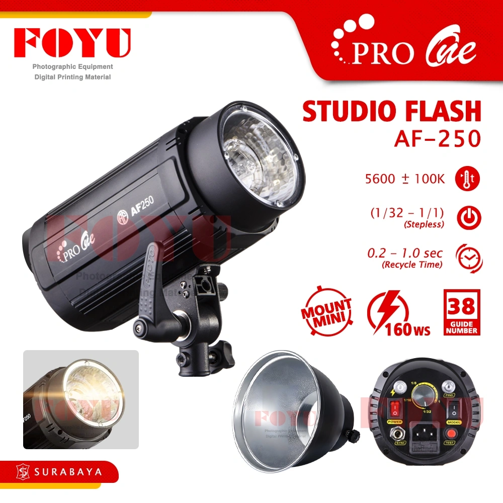Pro One AF-250 160Ws Studio Flash Blitz Light Lampu Studio Kilat Photo Mount Mini